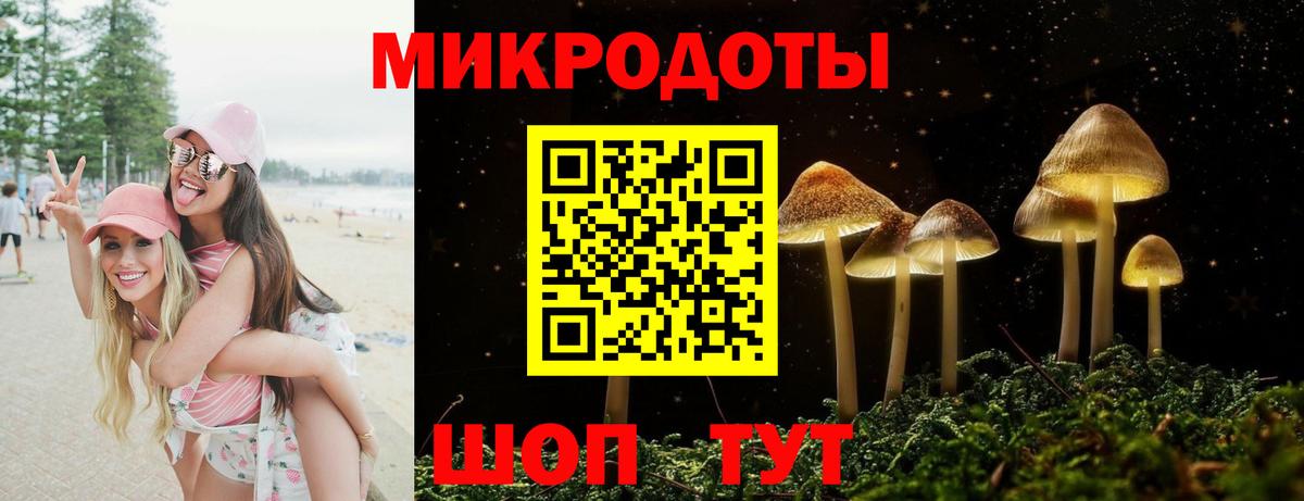 цена наркотик  Вход с VPN  Карабулак  Галлюциногенные грибы Magic Shrooms 