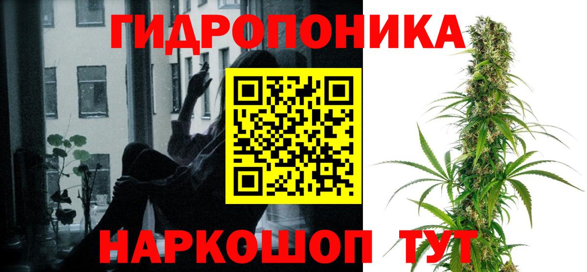 Каннабис план Карабулак